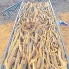 صندوق دينا للبيع