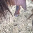 معزا حليب 2وحده ثنيه وحده تامه