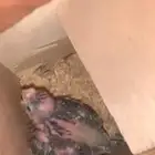 كروان جاهز لنتاج