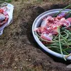 مرخ وسلع وحجر مضبي وتيوس عارضيه