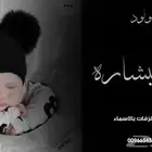 استديو تنسيق شيلات وزفات وتنفيذ ومكتابة قصائد جديده