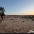 ارض في الهدية بمساحة 3200متر - بصك إلكتروني