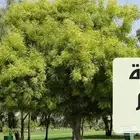 تنفيذ وتصميم مزارع و بيوت محميه