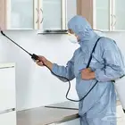 رش مبيدات مكافحة حشرات