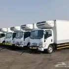 دينات للاجار تبريد تجميد جاف