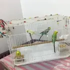 مجموعة طيور مغردة و أليفة و راقية