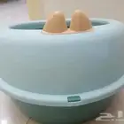مسلتزمات قطط