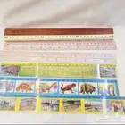 مساطر الزمن الجميل