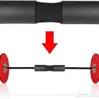 إسفنجة سكوات - إسفنجة بار