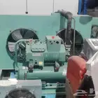 مستودعات التبريد وتجميد مستخدم