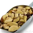 اللوز البرازيلي الآصلي