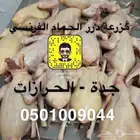 زغاليل حمام فرنسي شحم