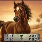 لوحه م ه ر 114