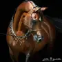 بيع وشراء الخيل