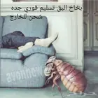 بخاخ يقضي على حشرة البق والبراغيث والنمل والارضى