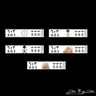 لوحه مميزه جدا (ب ب ب 3 0 6)