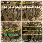 عود كمبودي تايقر فاخر جدا الكمية محدودة جدا جدا
