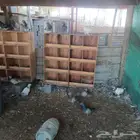 حمام فرنسي لاحم سلفر جامبو