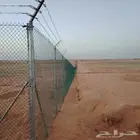 شبوك ونخيل