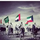 مافي أمير أشتغل معاه خوي