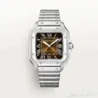 كارتير سانتوس ماستر طبق الأصل 100