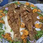 سمك طازة يومي ماشاءالله