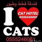 فندقة قطط وطيور 6061 24 0555 في اجازتك - حي المصيف