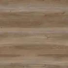 باركية تركي