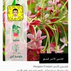 مشتل سعود اشجار   زهور   ورود   متسلقات وجميع مايخص الزراعه