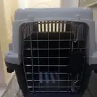 مستلزمات قطط