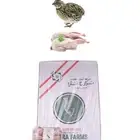 توصيل كرتون سمان مجمد 96 حبة