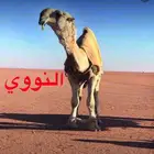 مطلوب هايلكس دبل ديزل 2012 وفوق