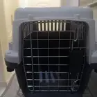 بيت قطط متنقل