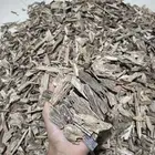 عود سومطري طبيعي ( بيع بسعر الجملة للمحلات وللمستخدم )