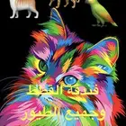 قطط وطيور فندقة منزليه - 120 تقييم إيجابي