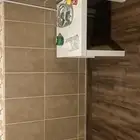 رف ه لفندقة الطيور  .