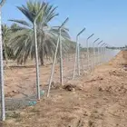 شبوك شبوك مزارع