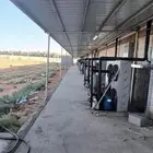 تصنيع وتوريد غرف التبريد والتجميد
