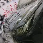 رش بدي لمعه ونص لمعه رش جنوط