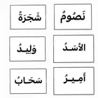 معلمة دروس خصوصية