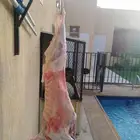 شوي خارجي مشاوي
