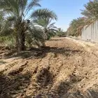 مزرعة للإيجار