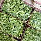 باميه جازان