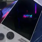 Rog ally