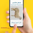 اختار ذبيحتك ولا تشيل هم عن باقي المهام