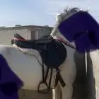 سرج ستيتوس و لبادة هاي رايدر