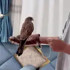 صقر الشبوط او الشايق