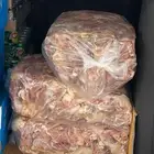 اكل كلاب دجاج مثلج تريت اسعارر رخيصه