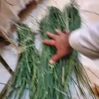 مرخ للمندي واللحم