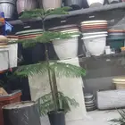 مراكن واحواض زراعيه مستطيل وديراي